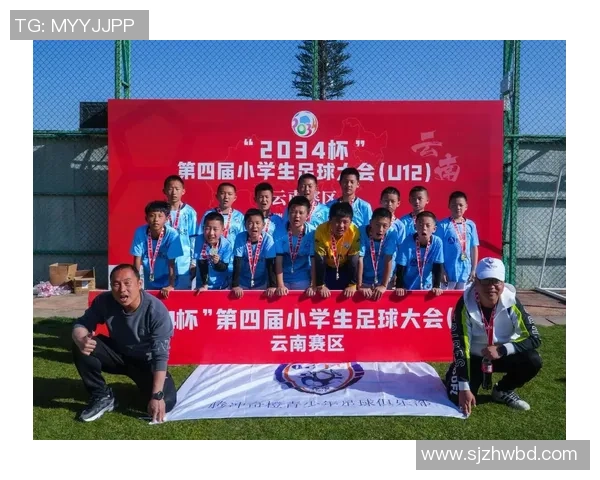 足球星光之火点燃绿茵梦想描绘激情岁月书写荣耀传奇