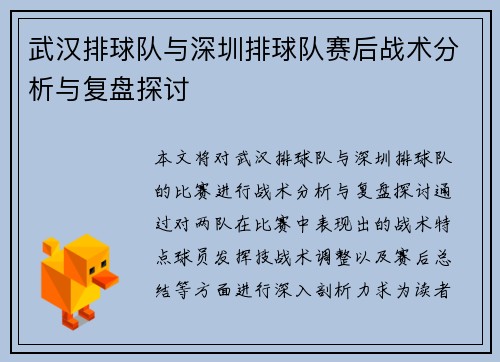 武汉排球队与深圳排球队赛后战术分析与复盘探讨