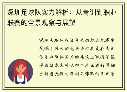 深圳足球队实力解析：从青训到职业联赛的全景观察与展望